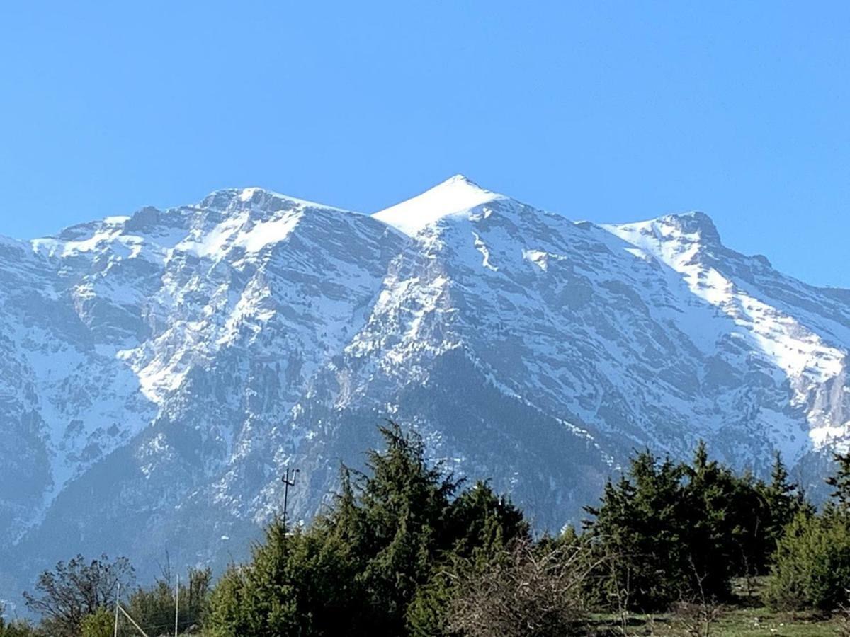 Stonehouse 2 Bedroom Chalet On Olympus Amazing View Petra  Exterior foto